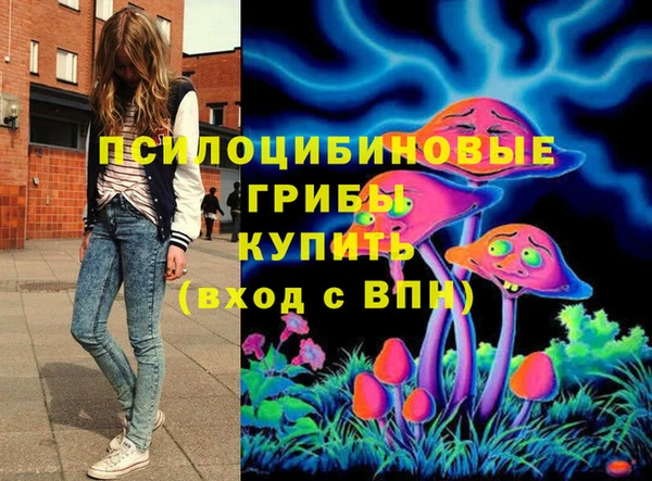 а пвп мука Нея